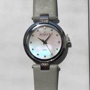 Skagen Watch